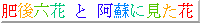 http://rirohana.hp.infoseek.co.jp